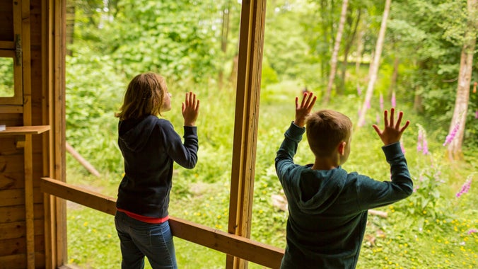 Children watching red squirrels in the hide.